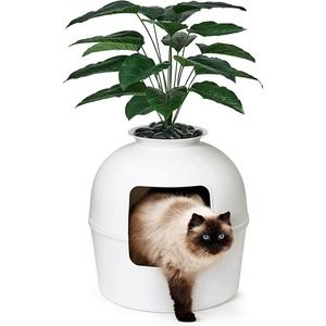 Secret Litter Box Bundle & Bliss Hidden Litter Box Enclosure with Odor Control